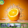 Pure Nature orange powder extracted from fresh fruit